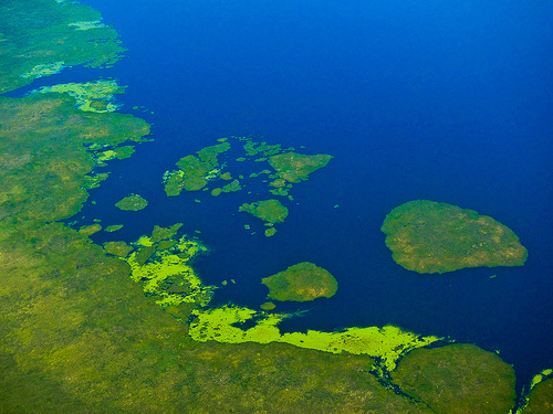 Iberá Wetlands